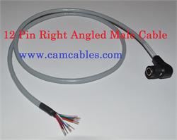 12 Pin Right Angled Male Cable 12 Pin Right Angled Male Cable